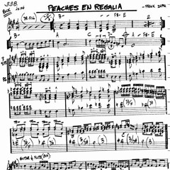 Peaches En Regalia (2004)