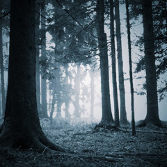frozen twilight