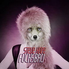 Steve Hope - Fuchsbau 128Kbit