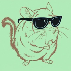 Chinchillin'