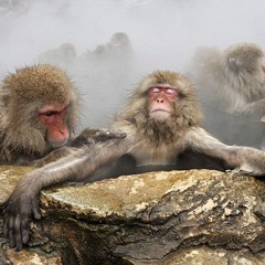 Take It Ez! produced by ManOnWire