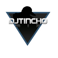 ES LA QUE VA - - DJ TINCHOMIX . 012 !