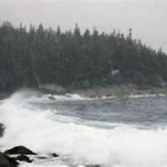 Winter Waves (along the north shore)