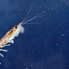 12-08-12 - SO EASY - TIME & TEMP LIVE@THESINK