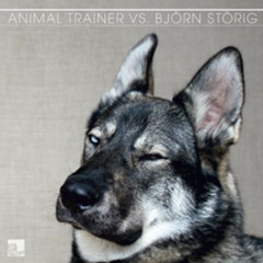 Animal Trainer - Gone 4 Ever (Original Mix)