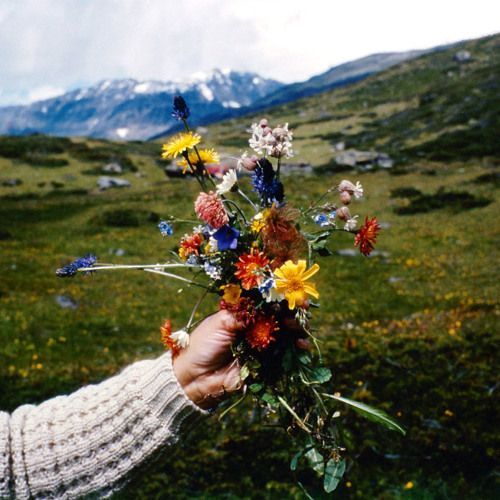 The Cloisters - The Lock Keeper