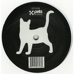 ft. Phil Kay - Little Bits That Matter [Pets Recordings]
