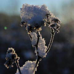 Winter Layers
