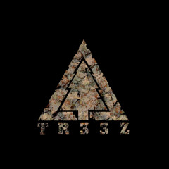 High5 - Tvrdi orah