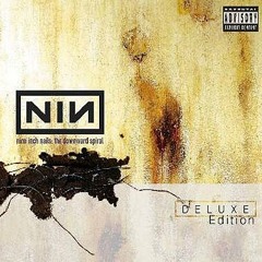Nine Inch Nails - Hurt (cover by @danzellekin)