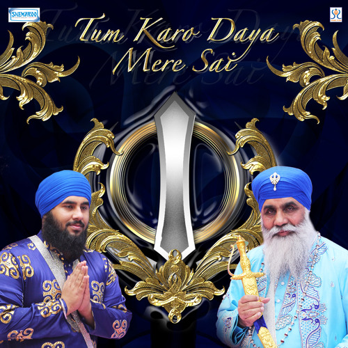 Tum Karo Daya Mere Sai - Bhai Sahib Bhai Nirmal Singh Khalsa Pipli Wale