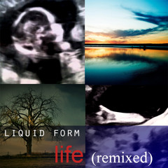 Liquid Form - Life (remixed) feat. Nathaniel Michna
