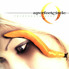 A Perfect Circle - The Noose (cover by @danzellekin)