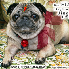 Synapsenkitzler - Hund rülpst jingle bells (Flashmops Weihnachtslied) Jingle Belch