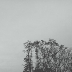 Upon A Dark River