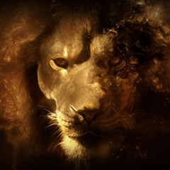 WIP testloop next phase