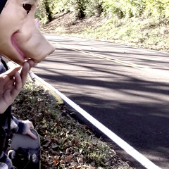 Wire Framed Fracture