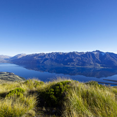 more liquid wip clip stuff