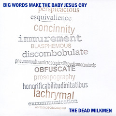 Big Words Make The Baby Jesus Cry