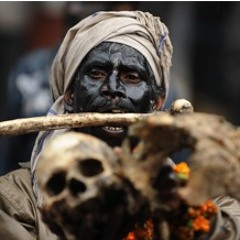 Feast of the Box Feeders