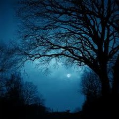 Silent Night ~ Theremin