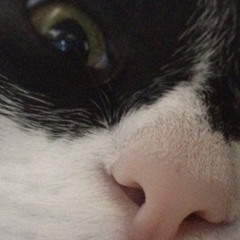 ZZZ