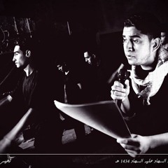 علي غريب وفاة الأمام علي السجاد سنابس 1434هـ