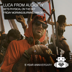 Audiofly (Luca) - Robot Heart - Burning Man 2012