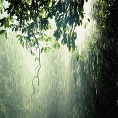 শ্রাবণের ধারার মত