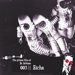 The Private Files of Dr. Seltsam 003 || Etcha "Changing Days" || <3