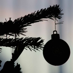 Forever Christmas Affection(Never ForgetYou)