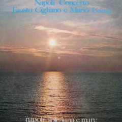 04 Fausto Cigliano e Mario Gangi - Luna nova