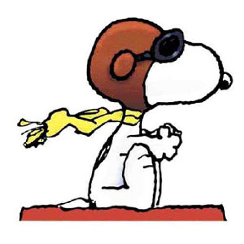 Snoopy vs. The Red Baron / Snoopy's Christmas
