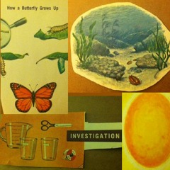 Buried Reefs (Experimental Ambient OST w. Bibio, GAS, OPN, BoC & more )