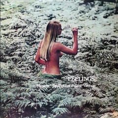 Stefano Torossi - Having Fun