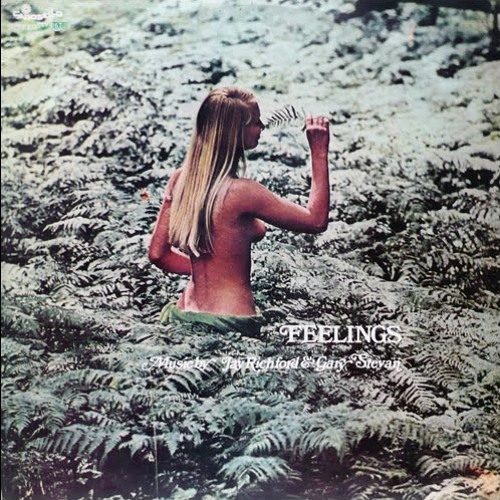 Stefano Torossi - Having Fun
