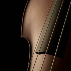 Dmitry Timofeev Contrabass duo (2011-2012)