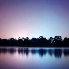 DJ Poizen - Need to Feel Love