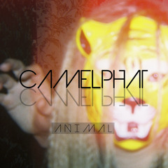 CamelPhat - Animal - Jeudi Basic