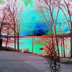 If You Want To View Paradise (My Version)  at Will Wonka's