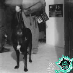 Lilacs - Our Mistakes