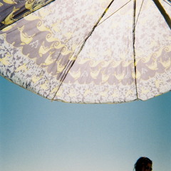 Lovings for fools (cvr)