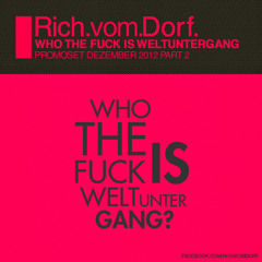 Rich Vom Dorf - WHO THE FUCK IS WELTUNTERGANG part2(12 2012)