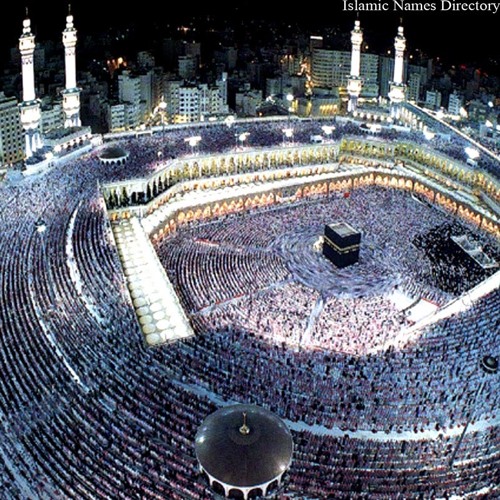 إنشاد علاوى