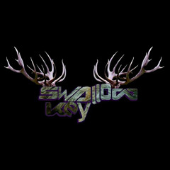 Seekers By Swallow Key