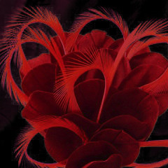 Thanks A Lot But No Thanks-No Sugar Medley