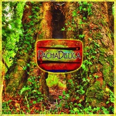 Pachadelica - Juego cósmico - Live at Yoga Aid World Challenge Santiago - Yuuktiyoga