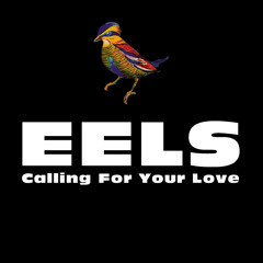 EELS - Calling For Your Love