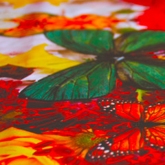 Tonight You Belong to Me (Cover)