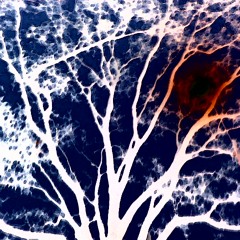 Americano (Interlude)